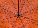 Зонт  женский складной Style art. 1501-2-15_product